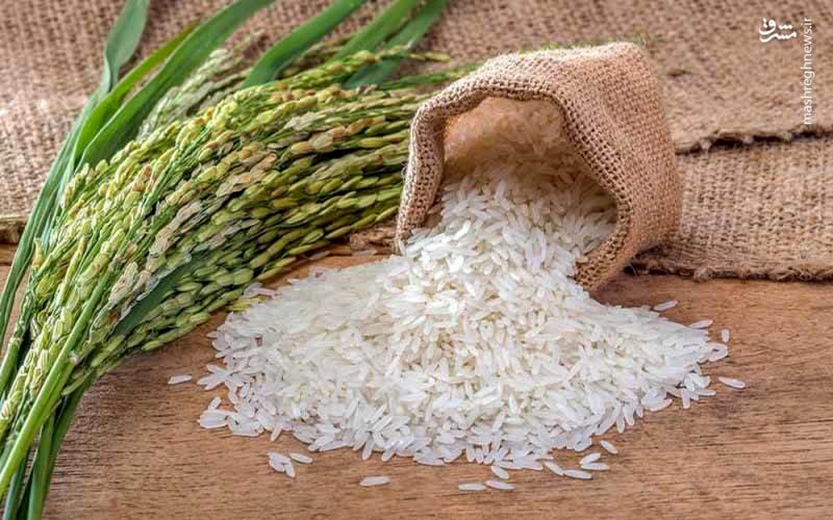 ممنوعیت واردات برنج حذف می شود