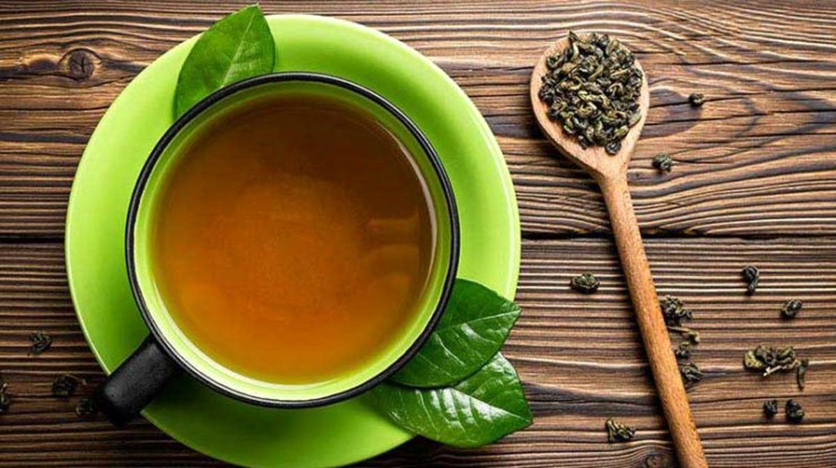 ۵۸ هزار و ۶۱۰ تن برگ سبز چای از چایکاران خریداری شد