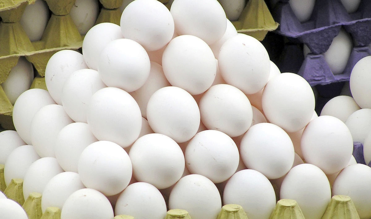 هر شانه تخم مرغ چند؟