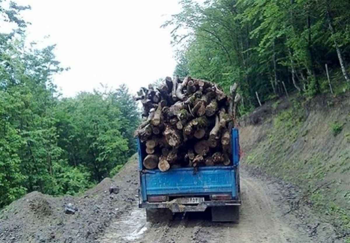 تفاهمنامه همکاری سازمان جنگل ها و مقابله با قاچاق بسته شد