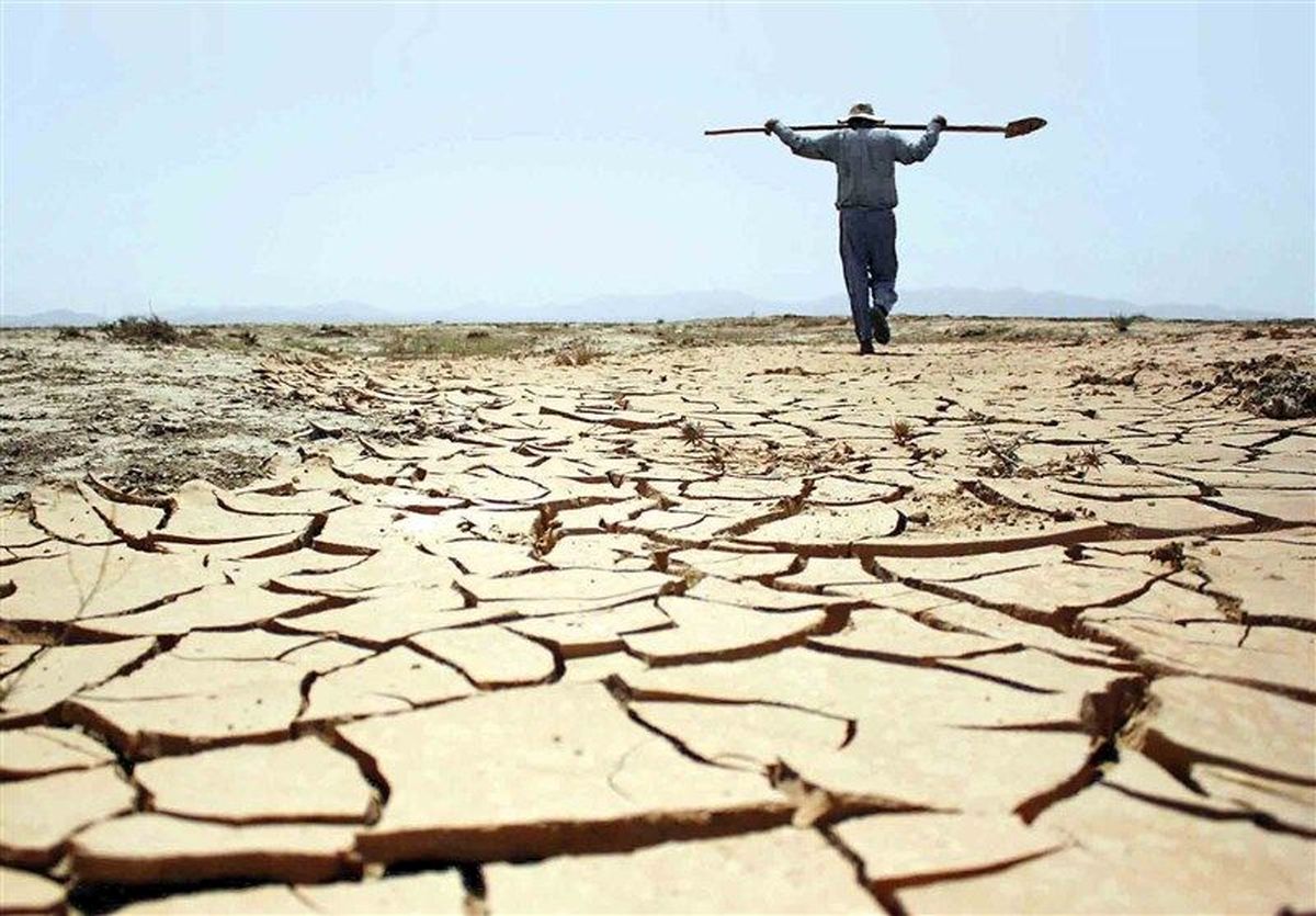 پرداخت ۱۰۰ میلیارد ریال خسارت خشکسالی به کشاورزان