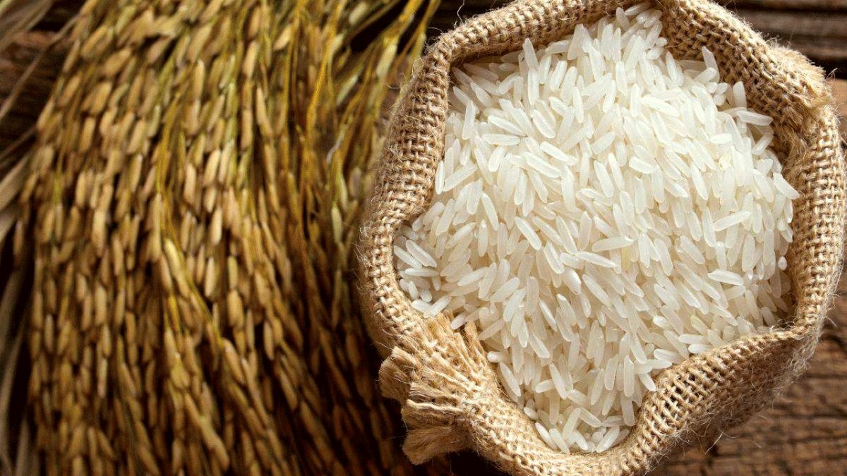 افزایش قیمت برنج داخلی و خارجی همچنان ادامه دارد