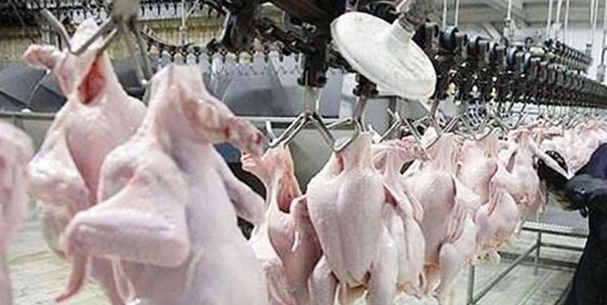 در بازار مرغ چه می گذرد؟