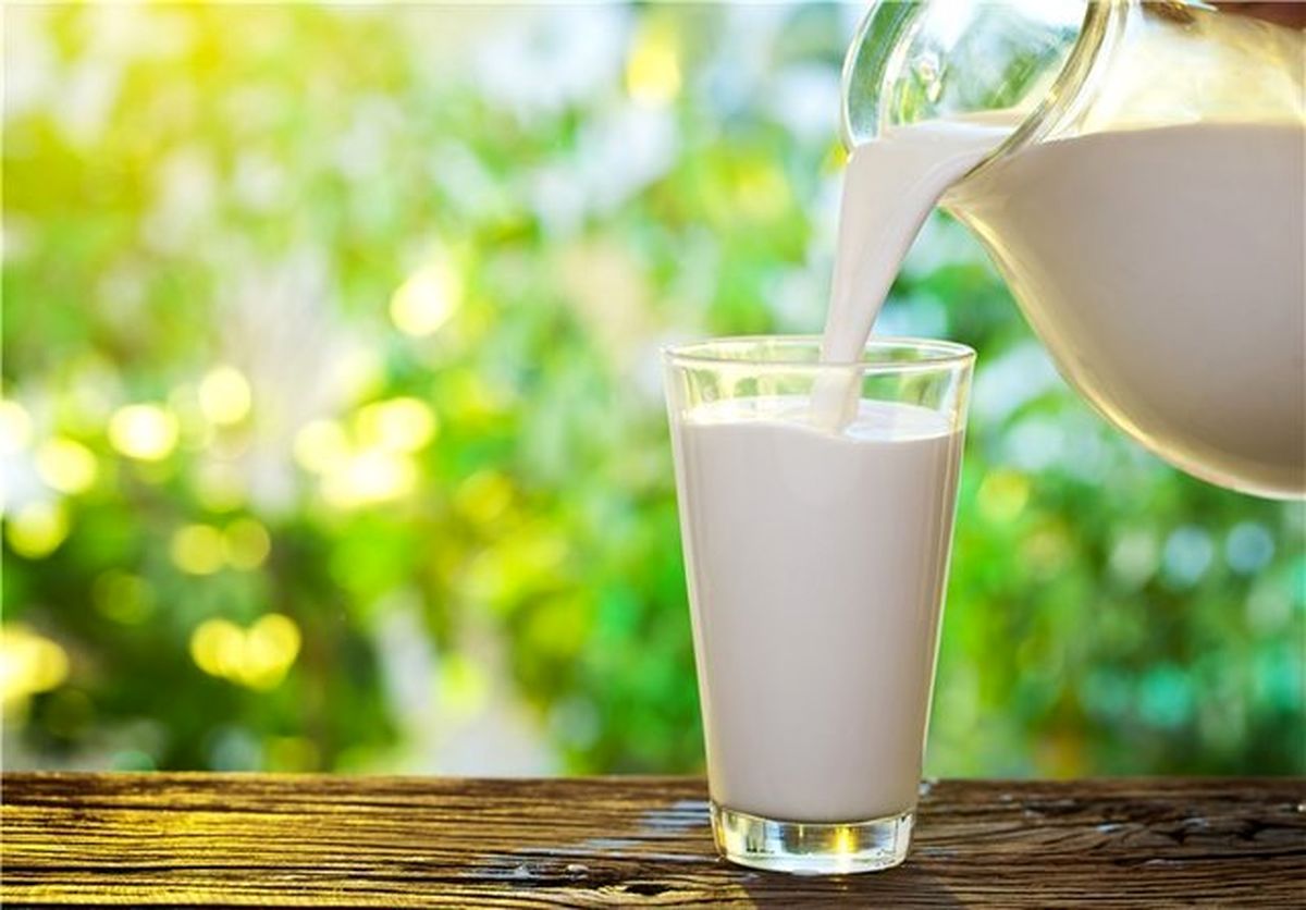 کارشناسان احتمال افزایش دوباره قیمت شیر را می‌دهند