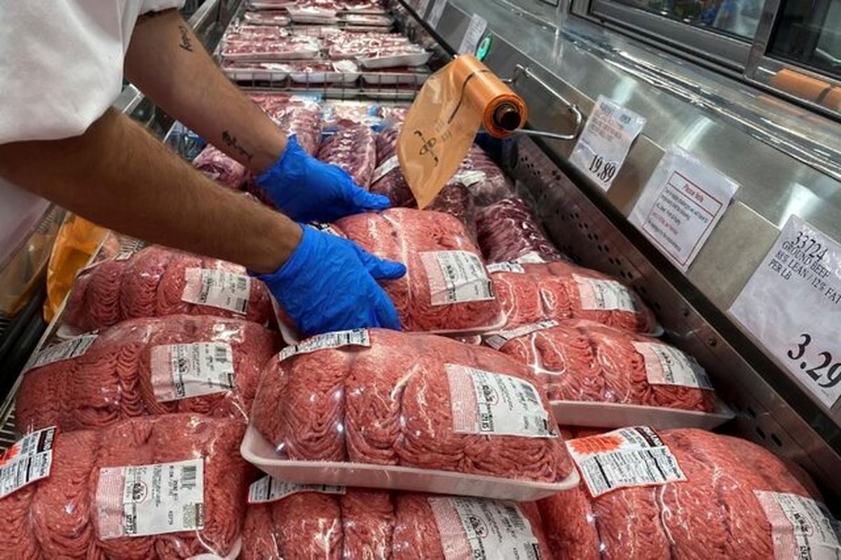 گوشت قرمز گران‌تر خواهد شد