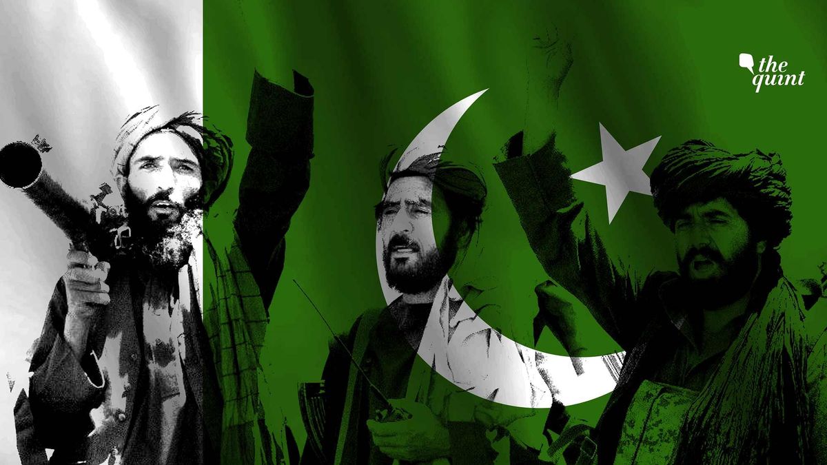 نقش پاکستان در پیروزی طالبان