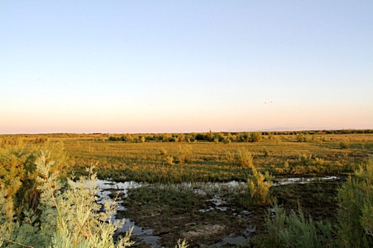 ۳ تالاب آذربایجان غربی به دلیل خشکسالی و عدم تأمین حق آبه از بین رفتند