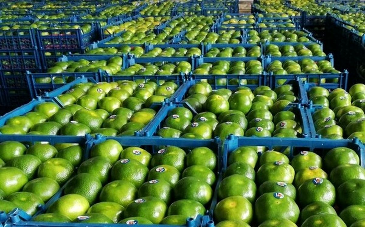 افزایش ۲۰ تا ۳۰ درصدی قیمت میوه نسبت به سال گذشته