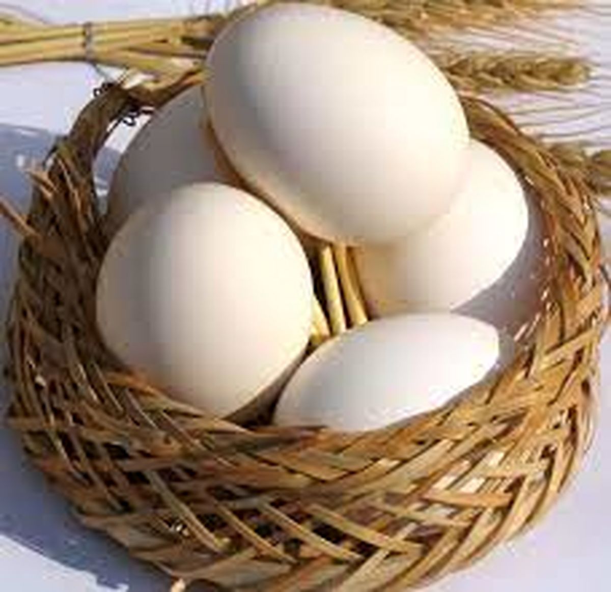 ۱۰ هزار تن تخم مرغ در روزهای آینده به کشور وارد می‌شود