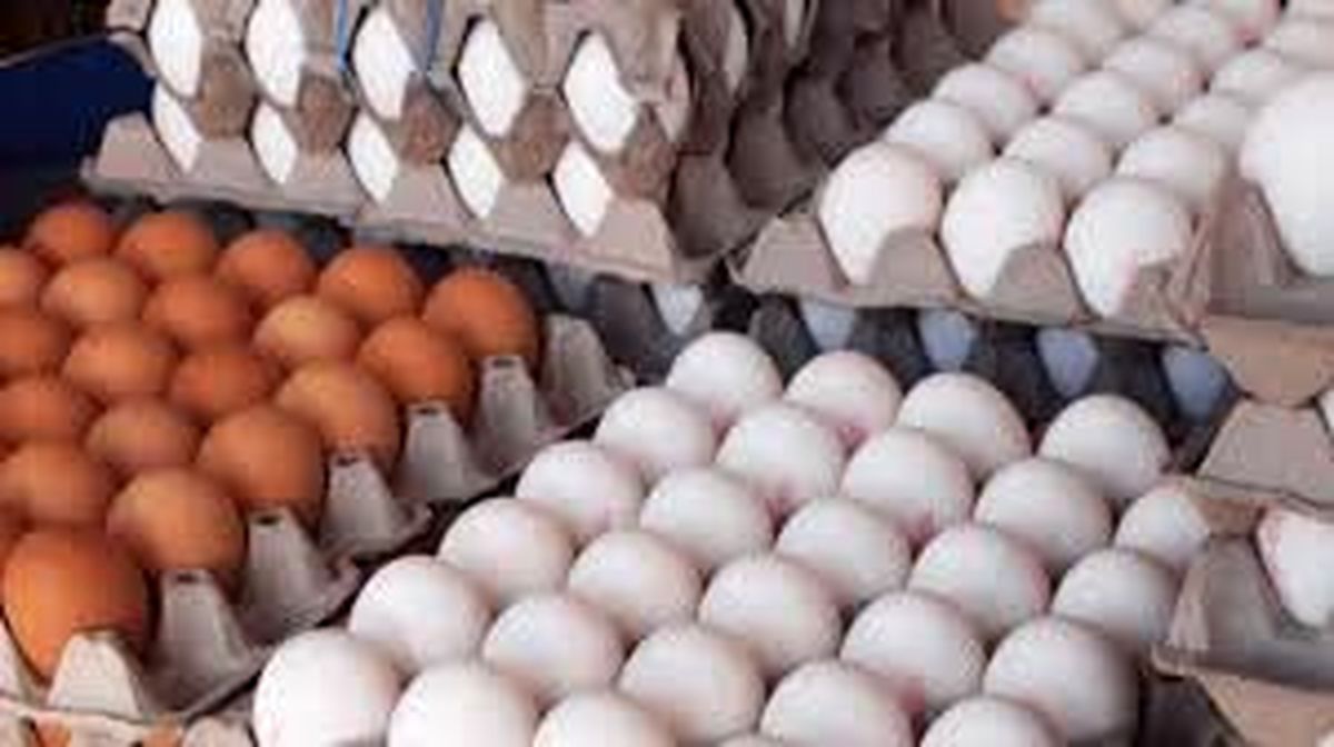 قیمت یک شانه‌ تخم‌مرغ ۵۰ هزار تومان!