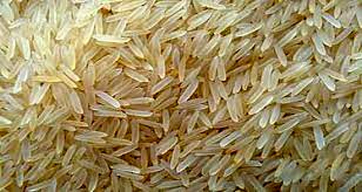افزایش قیمت برنج وارداتی عجیب است