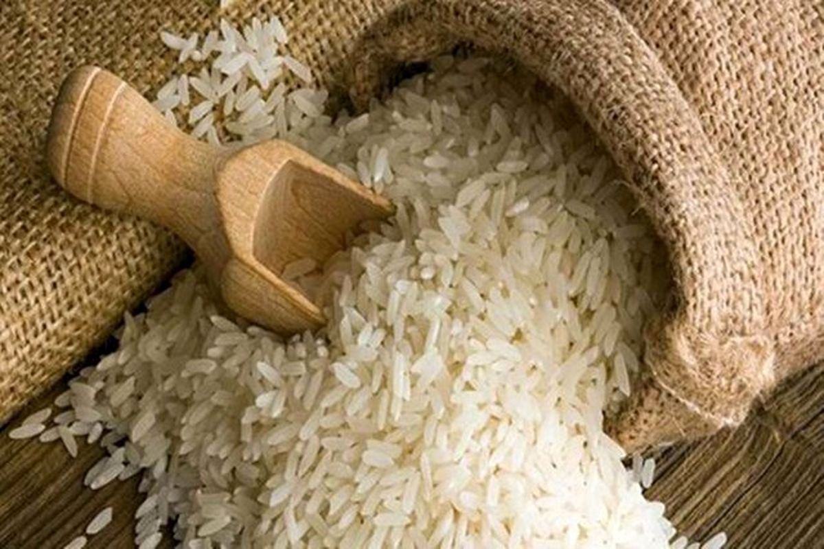 افزایش قیمت برنج بیشتر به علت نبود برنامه است