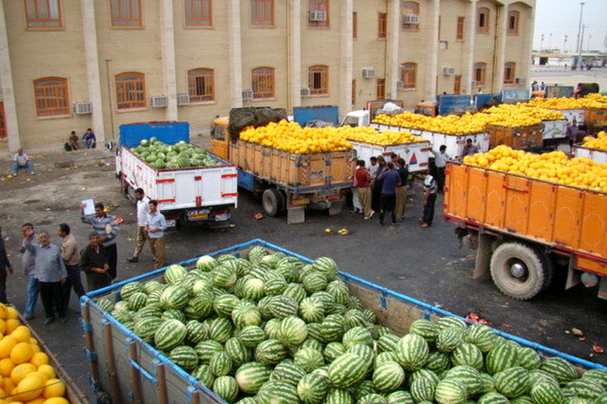 برخی‌ها اقدام به صادرات فله‌ای میوه می‌کنند/ ممنوعیت صادرات کیوی تا ۱۵ مهر