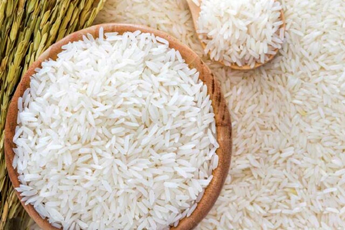 برنج ایرانی بیش از ۵۵ درصد گران شد