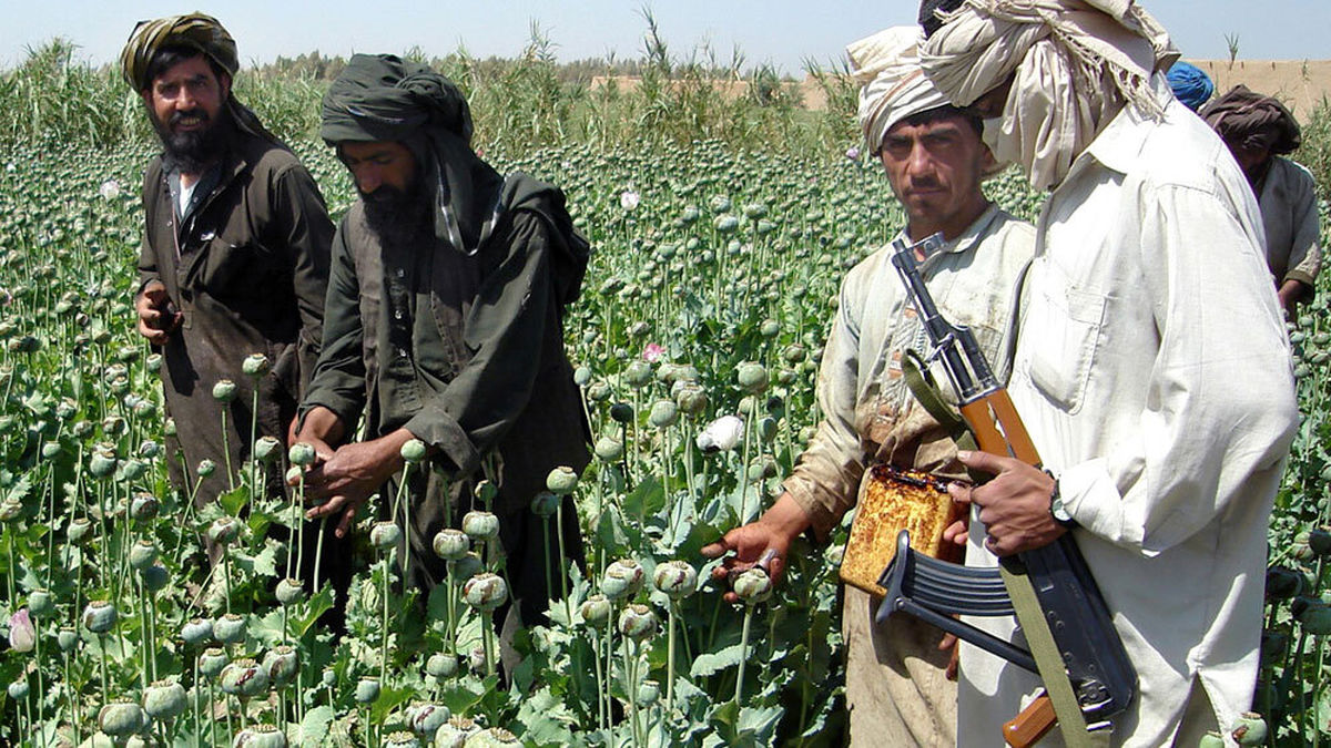 تریاک؛ دوای طالبان برای اقتصاد بیمار افغانستان!