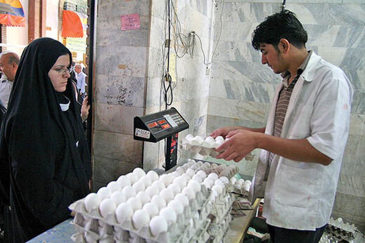 جدیدترین قیمت تخم مرغ در میادین و بازار/ یک شانه ۳۰ عددی چند شد؟