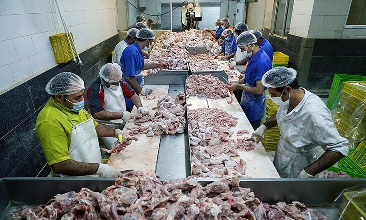 دبیر انجمن بسته‌بندی: مصرف گوشت ۵۰ درصد و مصرف مرغ ۳۰ درصد کاهش یافته