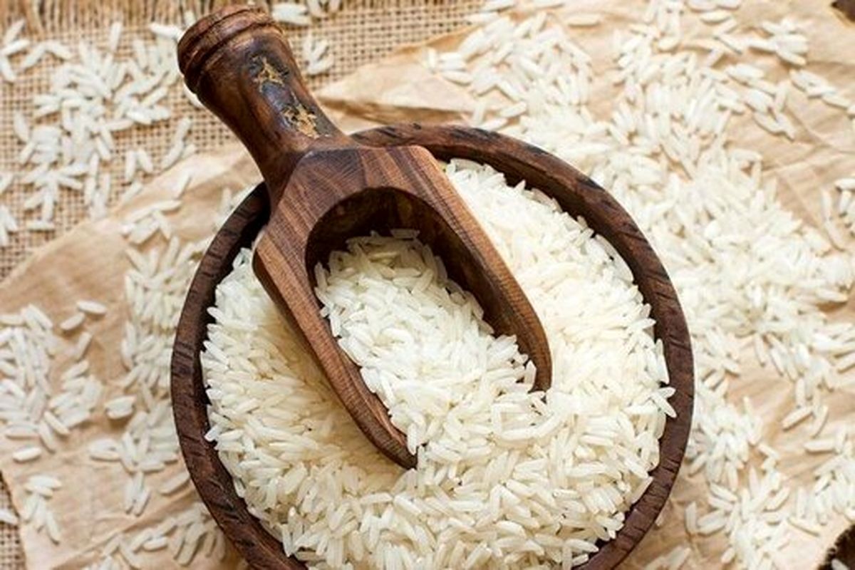 گرانی برنج در راه است؟/ برنج‌کاران تمایلی به فروش محصول ندارند