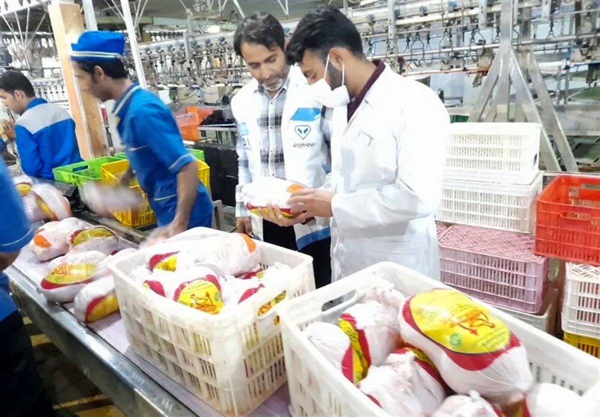 وزارت کشاورزی: فروش مرغ بالاتر از ۶۳ هزار تومان تخلف است
