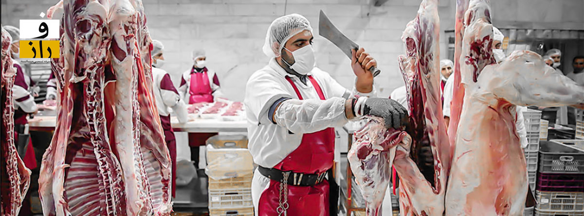 اینفوگرافیک؛ سقوط آزاد سرانه مصرف گوشت در ۱۰ سال