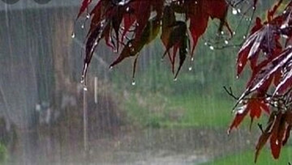 بارش باران در این استان‌ها/ باد و خاک در شرق و غرب ایران