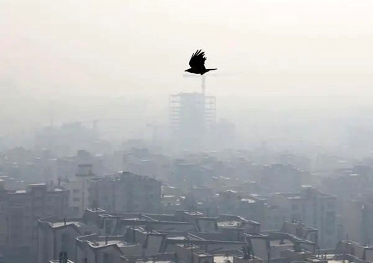 مهدی بابایی، عضو شورای شهر تهران: باید امسال هم مشکل آلودگی هوا را تحمل کرد