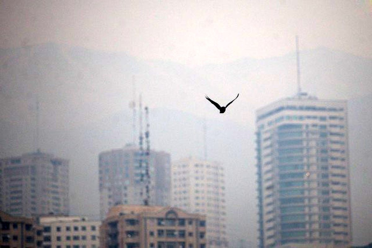 تداوم آلودگی هوای تهران/ بارش برف و باران از عصر جمعه