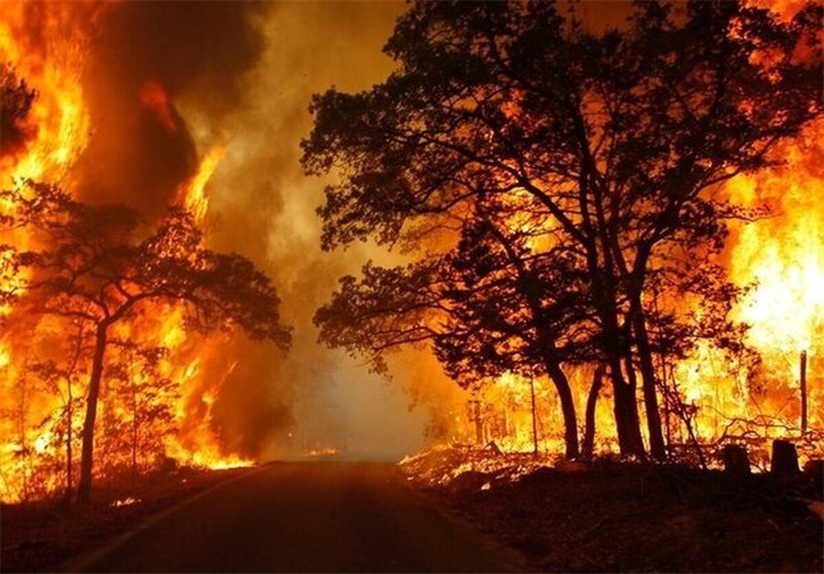 افزایش ۳۵۳ درصدی آتش‌سوزی در طبیعت ایران